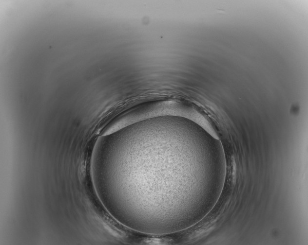 X0000090780558200707271551