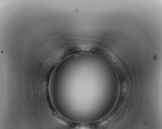 X0000090780559200707271551
