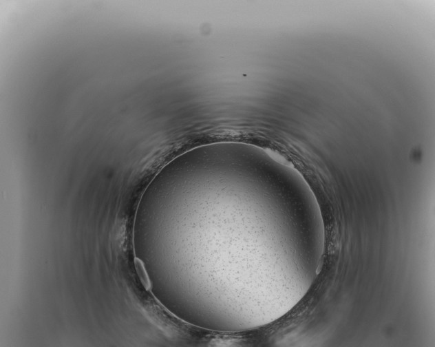 X0000090780560200707271551