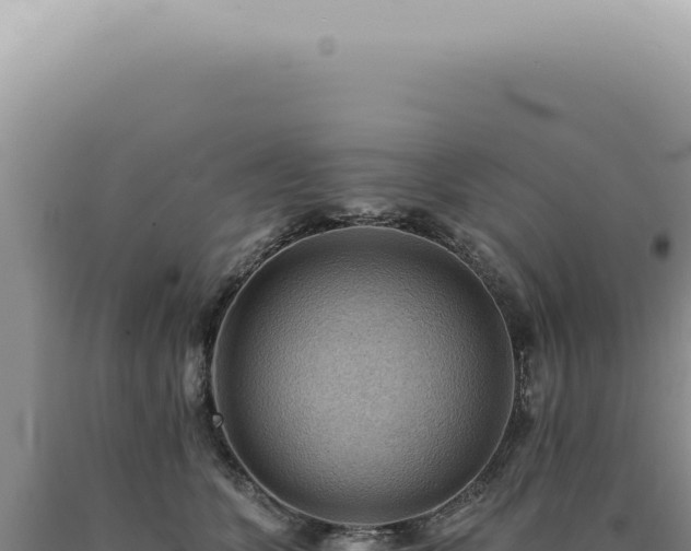 X0000090780563200707271551