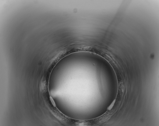 X0000090780564200707271551