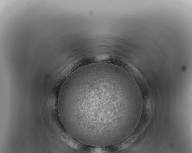 X0000090780565200707271551