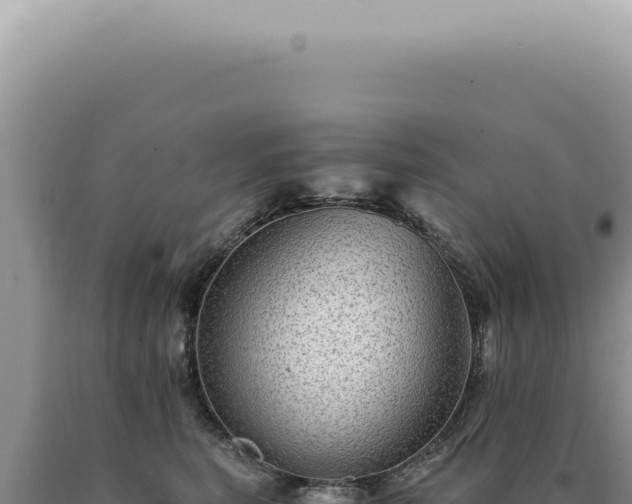 X0000090780567200707271551