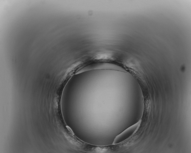 X0000090780570200707271551