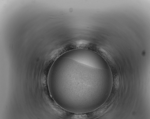 X0000090780571200707271551