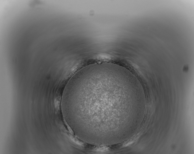 X0000090780576200707271551