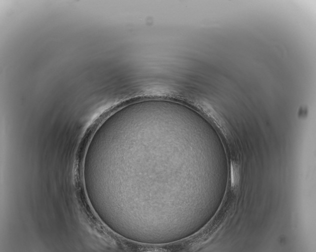 X0000090780579200707271551