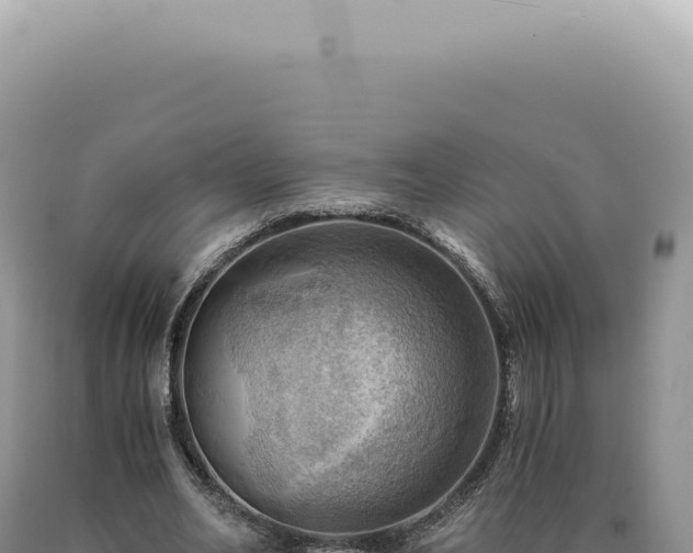 X0000090780582200707271551