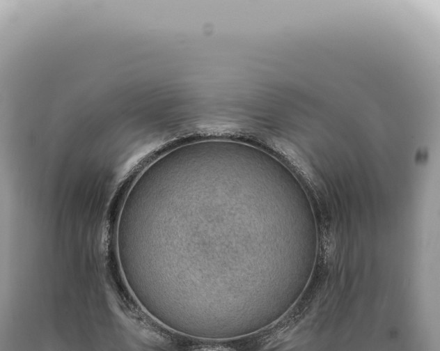 X0000090780583200707271551