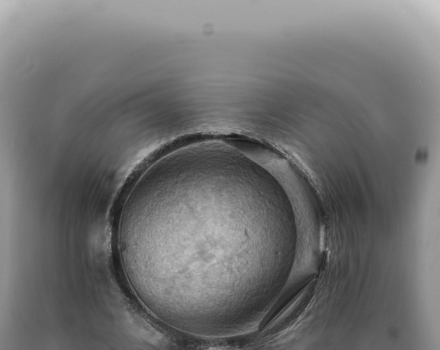 X0000090780584200707271551