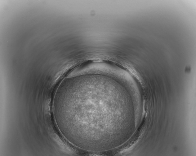 X0000090780585200707271551