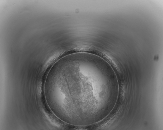 X0000090780586200707271551