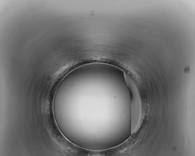 X0000090780587200707271551