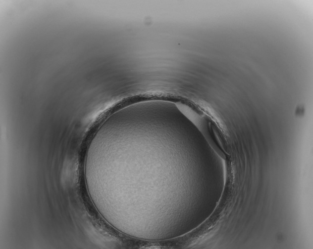 X0000090780588200707271551