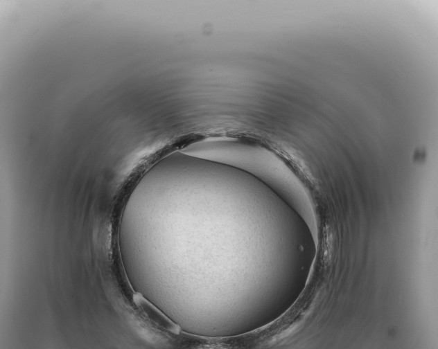 X0000090780589200707271550