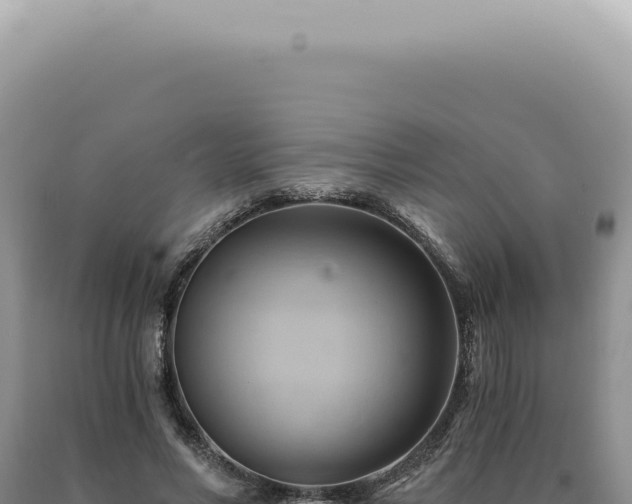 X0000090780590200707271550