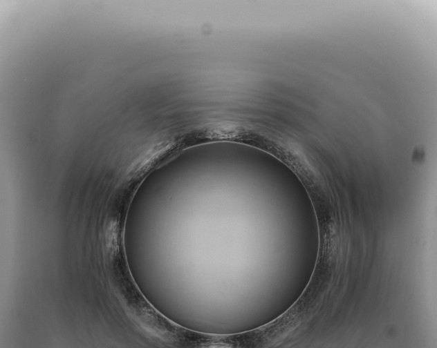 X0000090780598200707271550