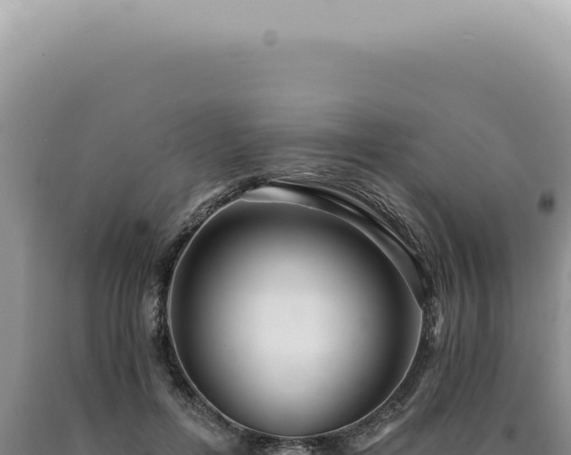 X0000090780600200707271550
