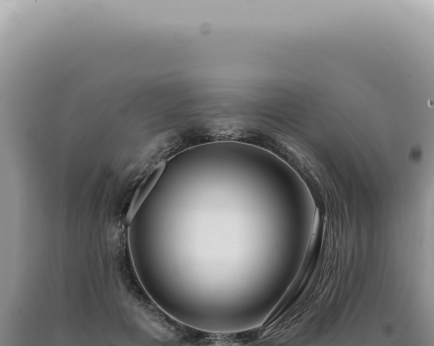 X0000090780601200707271550
