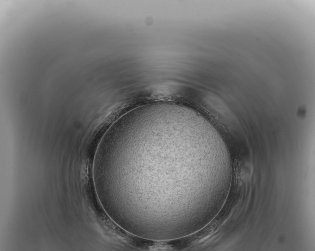 X0000090780603200707271550