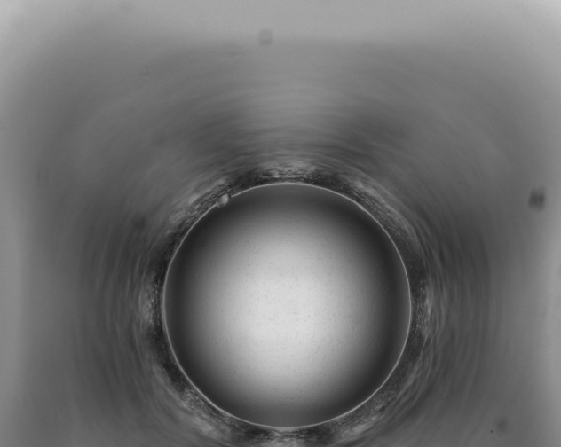 X0000090780604200707271550
