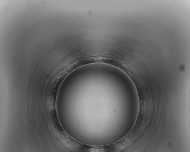 X0000090780606200707271550