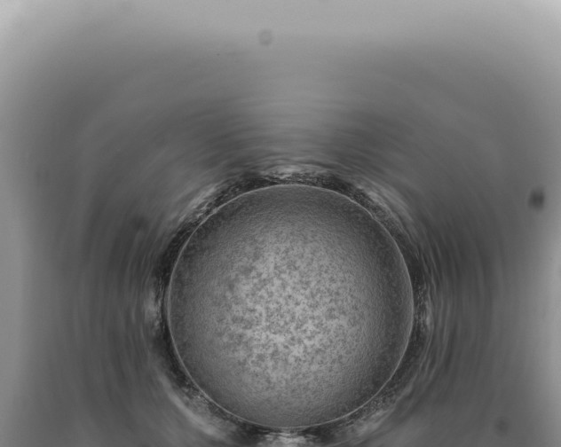 X0000090780607200707271550