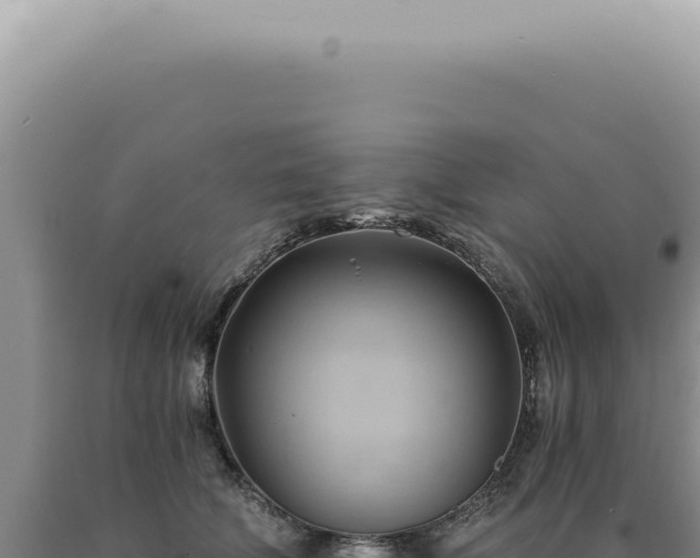 X0000090780610200707271550