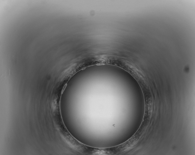 X0000090780611200707271550