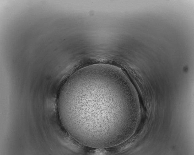 X0000090780612200707271550