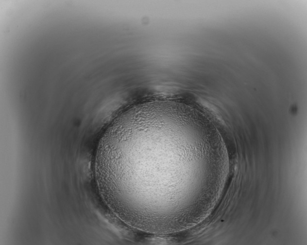 X0000090780615200707271550