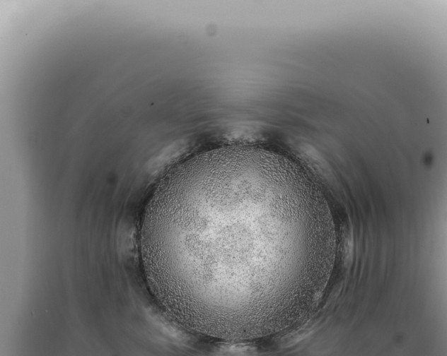 X0000090780619200707271550