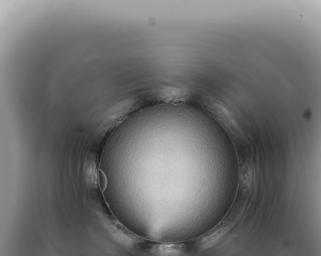 X0000090780622200707271550