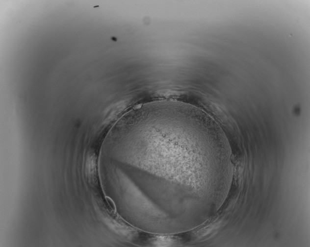 X0000090780623200707271550
