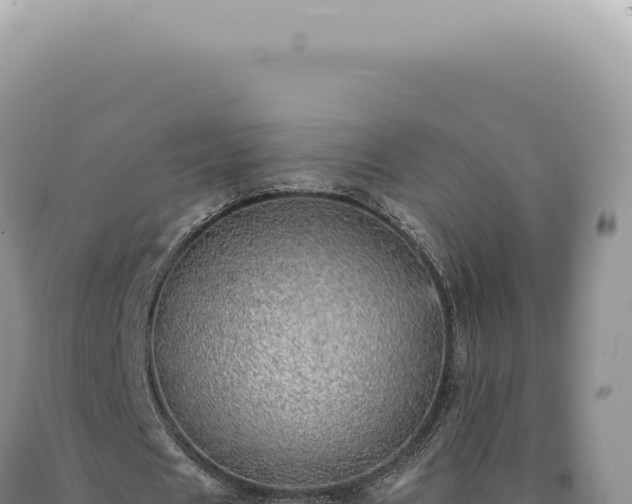 X0000090780625200707271549