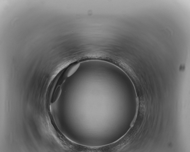 X0000090780626200707271549