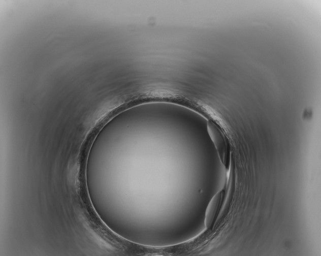 X0000090780627200707271549