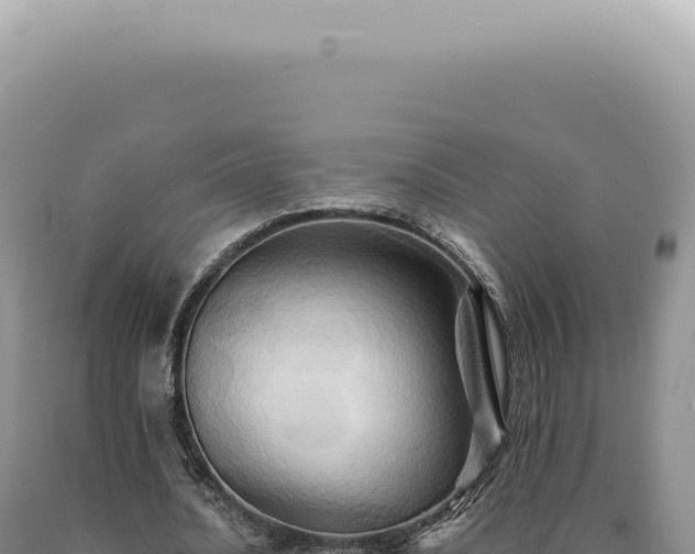 X0000090780628200707271550