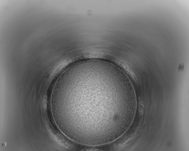 X0000090780631200707271550