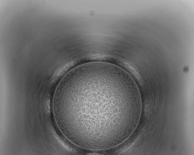 X0000090780633200707271550
