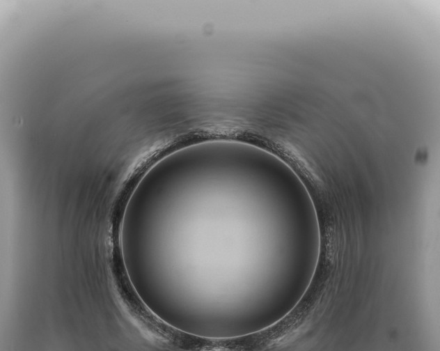 X0000090780634200707271550