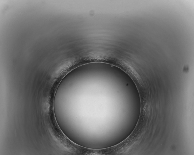 X0000090780635200707271550