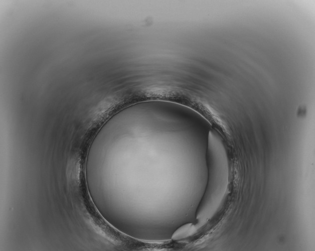 X0000090780637200707271550