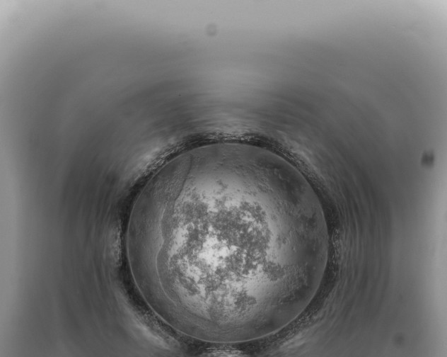 X0000090780642200707271550