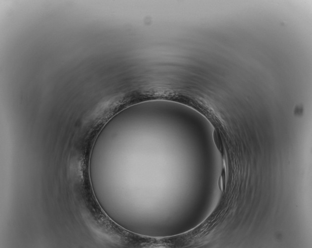 X0000090780643200707271550