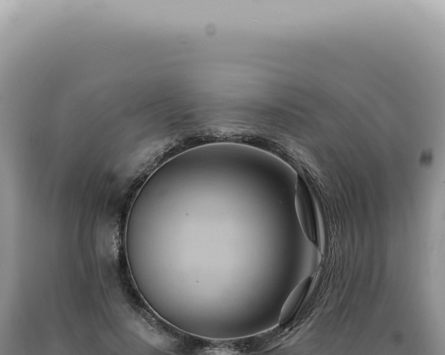X0000090780644200707271550