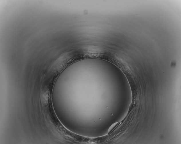 X0000090780647200707271550