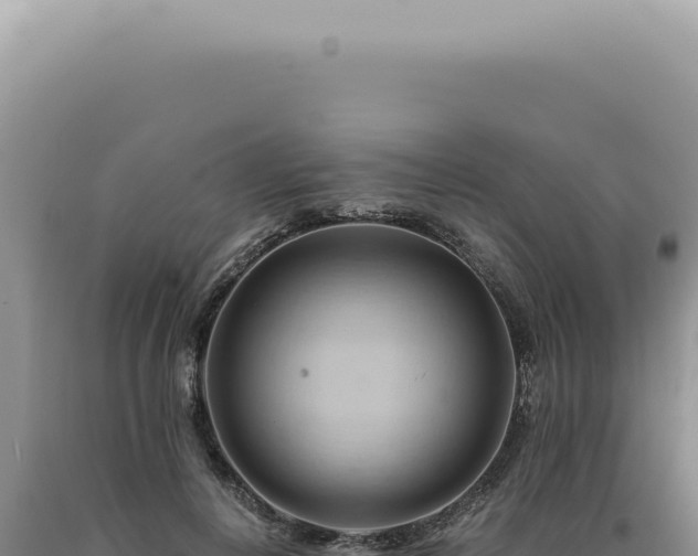 X0000090780648200707271550