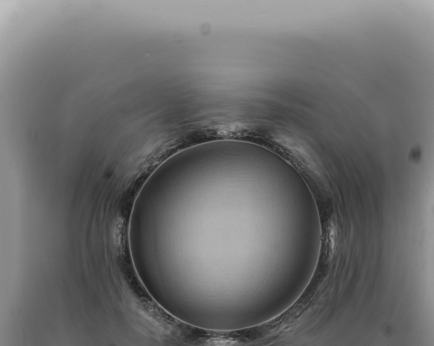X0000090780650200707271550