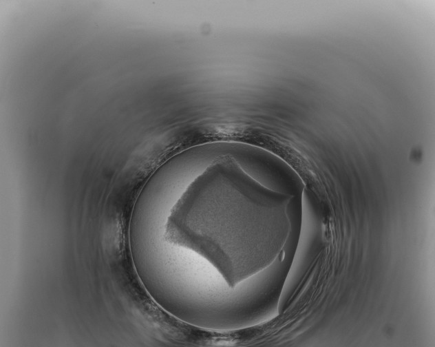 X0000090780651200707271550